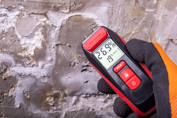 Best Office Mold Removal Services  in Harvey, ND