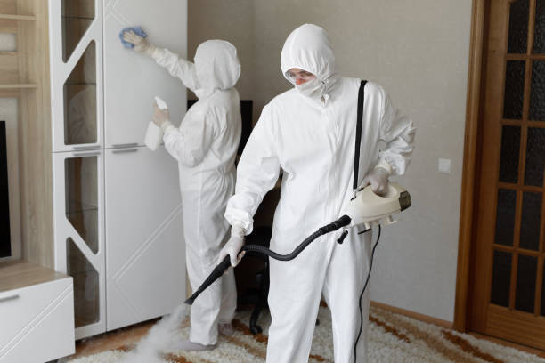 Mold Removal and Inspection in Harvey, ND